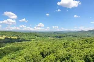 195 Hoot Owl Ridge, Morganton, GA 30560 - Photo 41