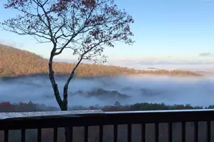 195 Hoot Owl Ridge, Morganton, GA 30560 - Photo 51