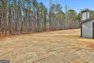 342 Wisteria Lane, Williamson, GA 30292 - Photo 41