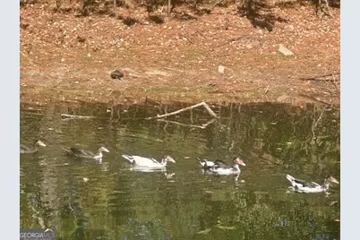 950 Lakeside Drive, Valdosta, GA 31602 - Photo 5