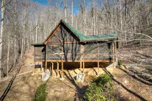 442 N Burgess Gap Rd, Morganton, GA 30560 - Photo 55