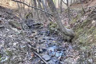 442 N Burgess Gap Rd, Morganton, GA 30560 - Photo 79