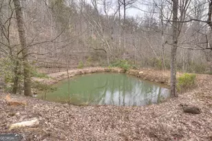 442 N Burgess Gap Rd, Morganton, GA 30560 - Photo 11