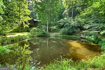 442 N Burgess Gap Road, Morganton, GA 30560 - Photo 25