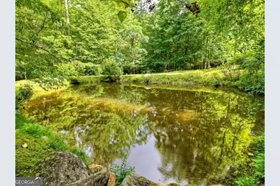 442 N Burgess Gap Road, Morganton, GA 30560 - Photo 27