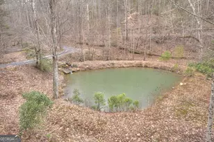 442 N Burgess Gap Rd, Morganton, GA 30560 - Photo 15