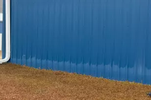 925 Cleary Rd, Brooklet, GA 30415 - Photo 7