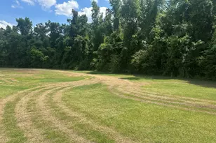 925 Cleary Rd, Brooklet, GA 30415 - Photo 33