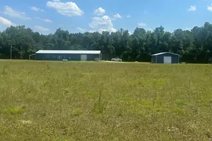 925 Cleary Rd, Brooklet, GA 30415 - Photo 47