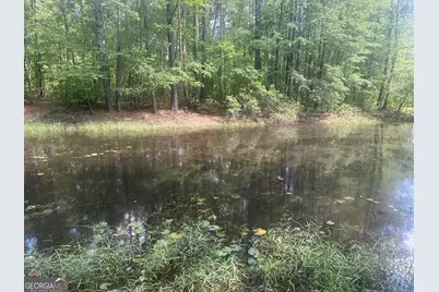 925 Cleary Road, Brooklet, GA 30415 - Photo 45