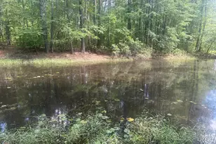 925 Cleary Rd, Brooklet, GA 30415 - Photo 45