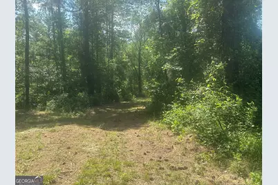 925 Cleary Road, Brooklet, GA 30415 - Photo 39