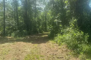 925 Cleary Rd, Brooklet, GA 30415 - Photo 39