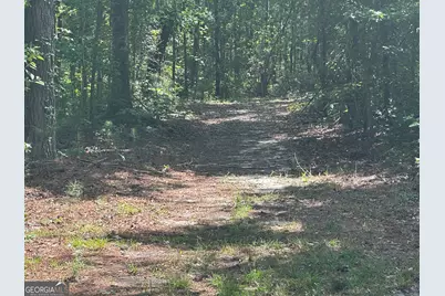 925 Cleary Road, Brooklet, GA 30415 - Photo 37