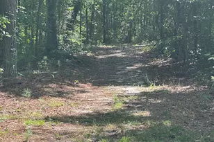 925 Cleary Rd, Brooklet, GA 30415 - Photo 37