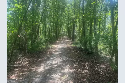 925 Cleary Road, Brooklet, GA 30415 - Photo 43