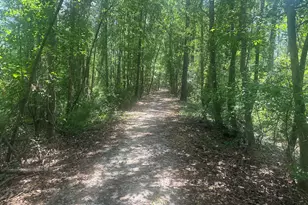 925 Cleary Rd, Brooklet, GA 30415 - Photo 43