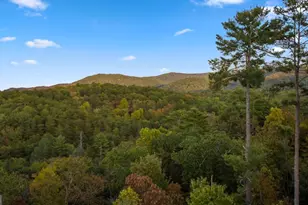 709 Laurel Creek Trail, Blue Ridge, GA 30513 - Photo 11