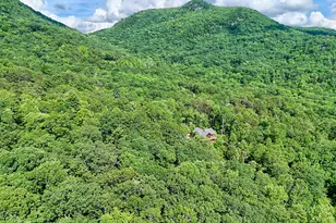 331 Black Bear Den Rd, Clayton, GA 30525 - Photo 39