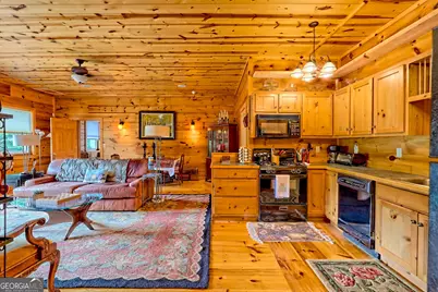 331 Black Bear Den Road, Clayton, GA 30525 - Photo 29
