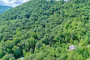 331 Black Bear Den Rd, Clayton, GA 30525 - Photo 37