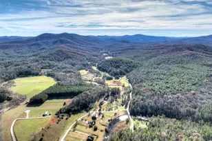 47 Downy Rd, Blue Ridge, GA 30513 - Photo 9