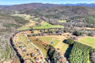 47 Downy Rd, Blue Ridge, GA 30513 - Photo 23