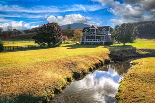 47 Downy Rd, Blue Ridge, GA 30513 - Photo 11