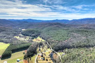 47 Downy Rd, Blue Ridge, GA 30513 - Photo 15