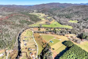 47 Downy Rd, Blue Ridge, GA 30513 - Photo 19