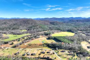 47 Downy Rd, Blue Ridge, GA 30513 - Photo 11