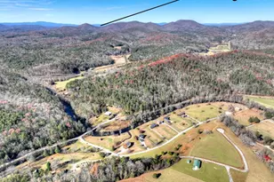 47 Downy Rd, Blue Ridge, GA 30513 - Photo 13