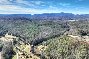 47 Downy Rd, Blue Ridge, GA 30513 - Photo 21