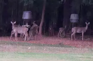 3060 Eatonton Rd, Madison, GA 30650 - Photo 65