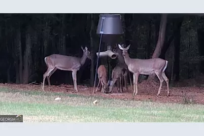 3060 Eatonton Road, Madison, GA 30650 - Photo 63