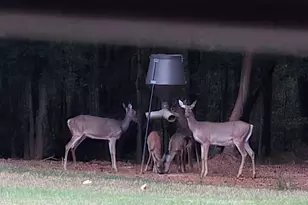 3060 Eatonton Rd, Madison, GA 30650 - Photo 63