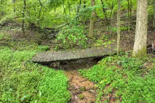 430 Chestnut Ridge, Blue Ridge, GA 30513 - Photo 49