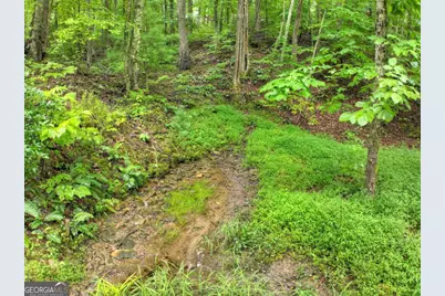 430 Chestnut Ridge #10, Blue Ridge, GA 30513 - Photo 43