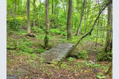 430 Chestnut Ridge #10, Blue Ridge, GA 30513 - Photo 45