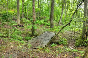 430 Chestnut Ridge, Blue Ridge, GA 30513 - Photo 45