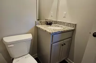 171 White Mountain Pass, McDonough, GA 30252 - Photo 13