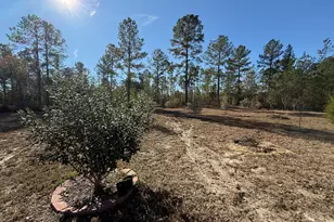 728 Martin Rd, Kite, GA 31049 - Photo 21