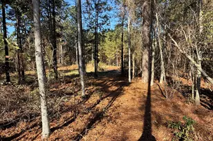 728 Martin Rd, Kite, GA 31049 - Photo 39