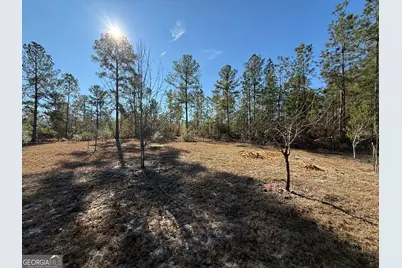 728 Martin Road, Kite, GA 31049 - Photo 19