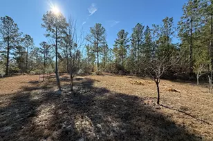 728 Martin Rd, Kite, GA 31049 - Photo 19