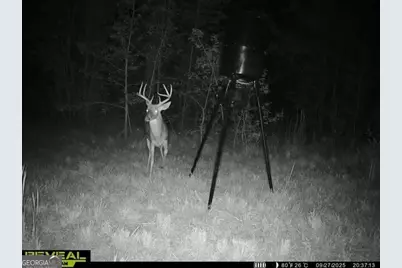 68 Sand Ridge Road, Rhine, GA 31077 - Photo 11