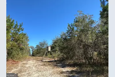 68 Sand Ridge Road, Rhine, GA 31077 - Photo 17