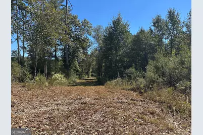 68 Sand Ridge Road, Rhine, GA 31077 - Photo 15