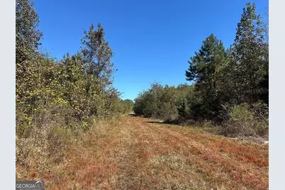 68 Sand Ridge Road, Rhine, GA 31077 - Photo 19