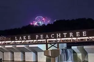 33 Twiggs Corner, Peachtree City, GA 30269 - Photo 31